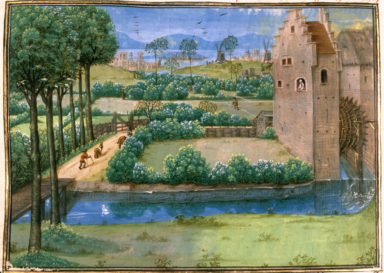 Paesaggio fiammingo con un mulino ad acqua in primo piano e un mulino a vento sullo sfondo, dall