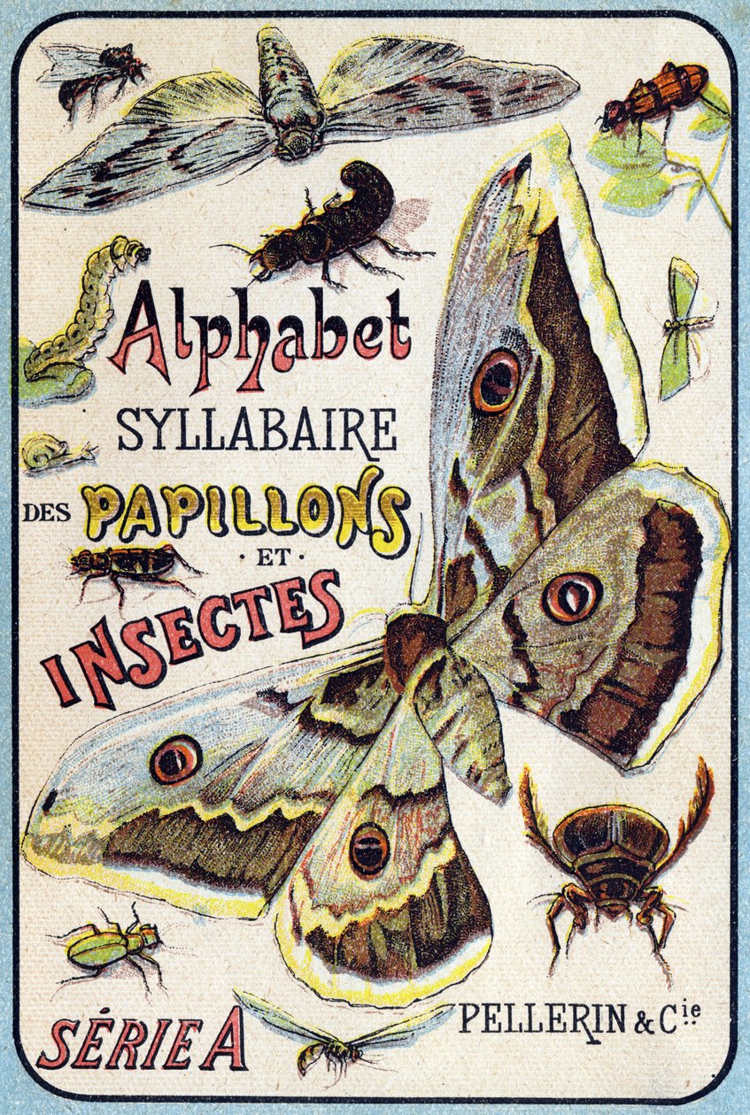 Copertina di "Sillabario alfabeto di farfalle e insetti". Serie A. Pellerin et Cie, stampatori-editori, Épinal, fine XIX secolo. da French School