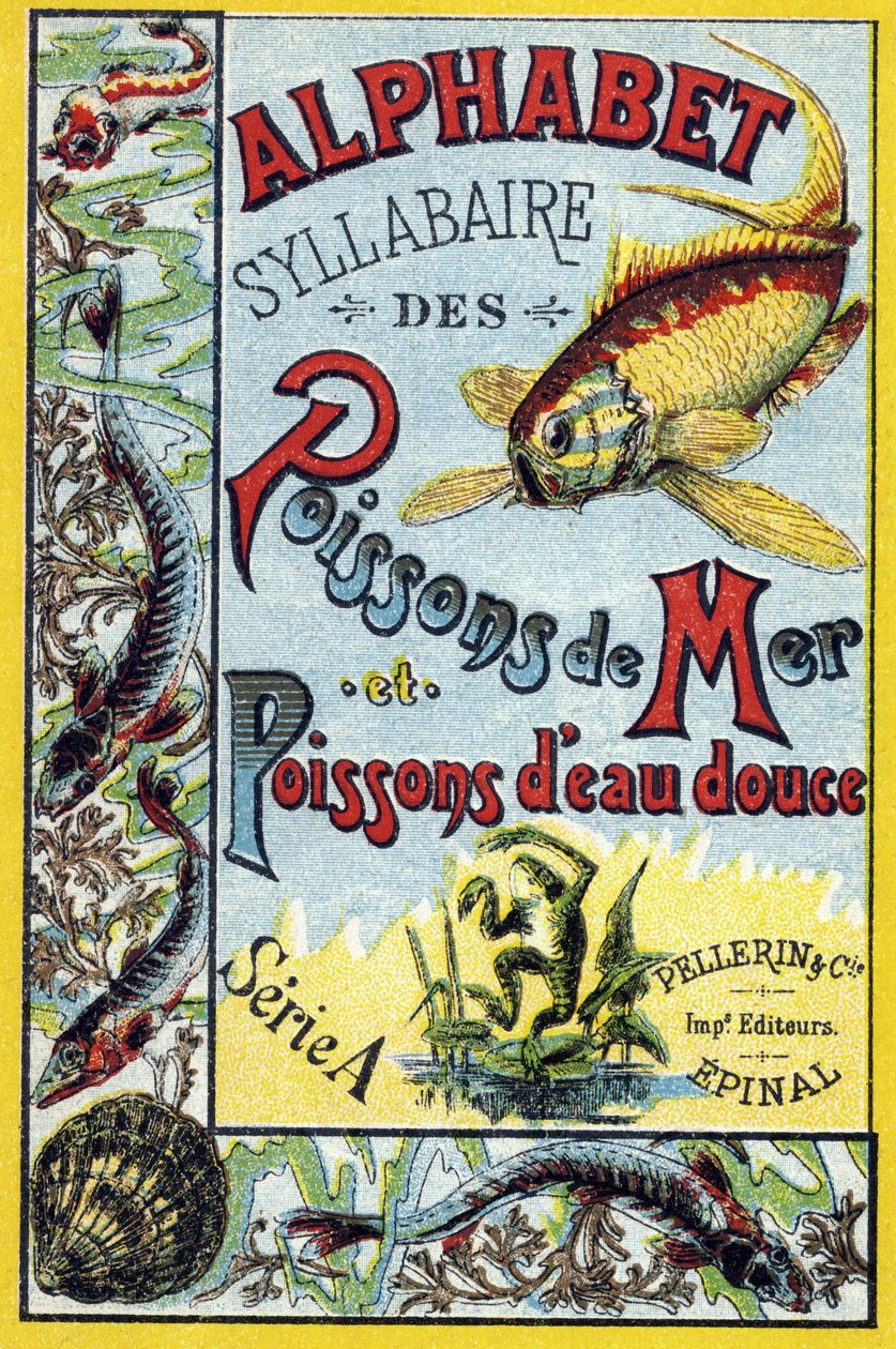 Copertina di "Sillabario alfabeto di pesci marini e d