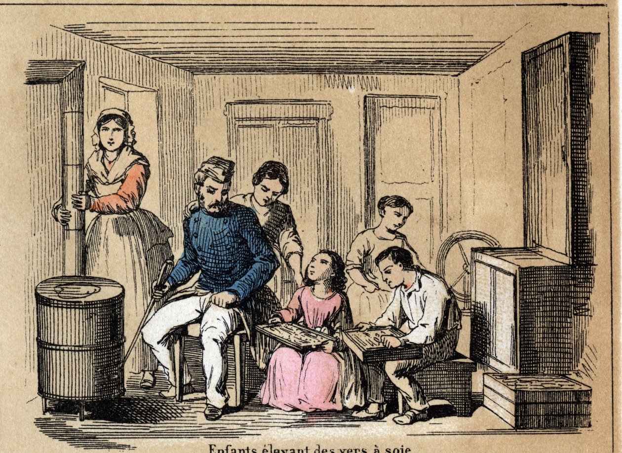 Descrizione della cultura e dei prodotti della seta: bambini che allevano bachi da seta. Tavola 