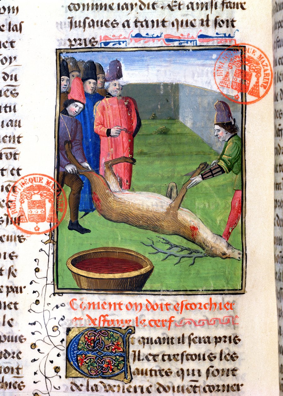 Taglio delle gambe di un cervo morto, dal Livre de la Chasse di Gaston Phebus de Foix (1331-91) da French School
