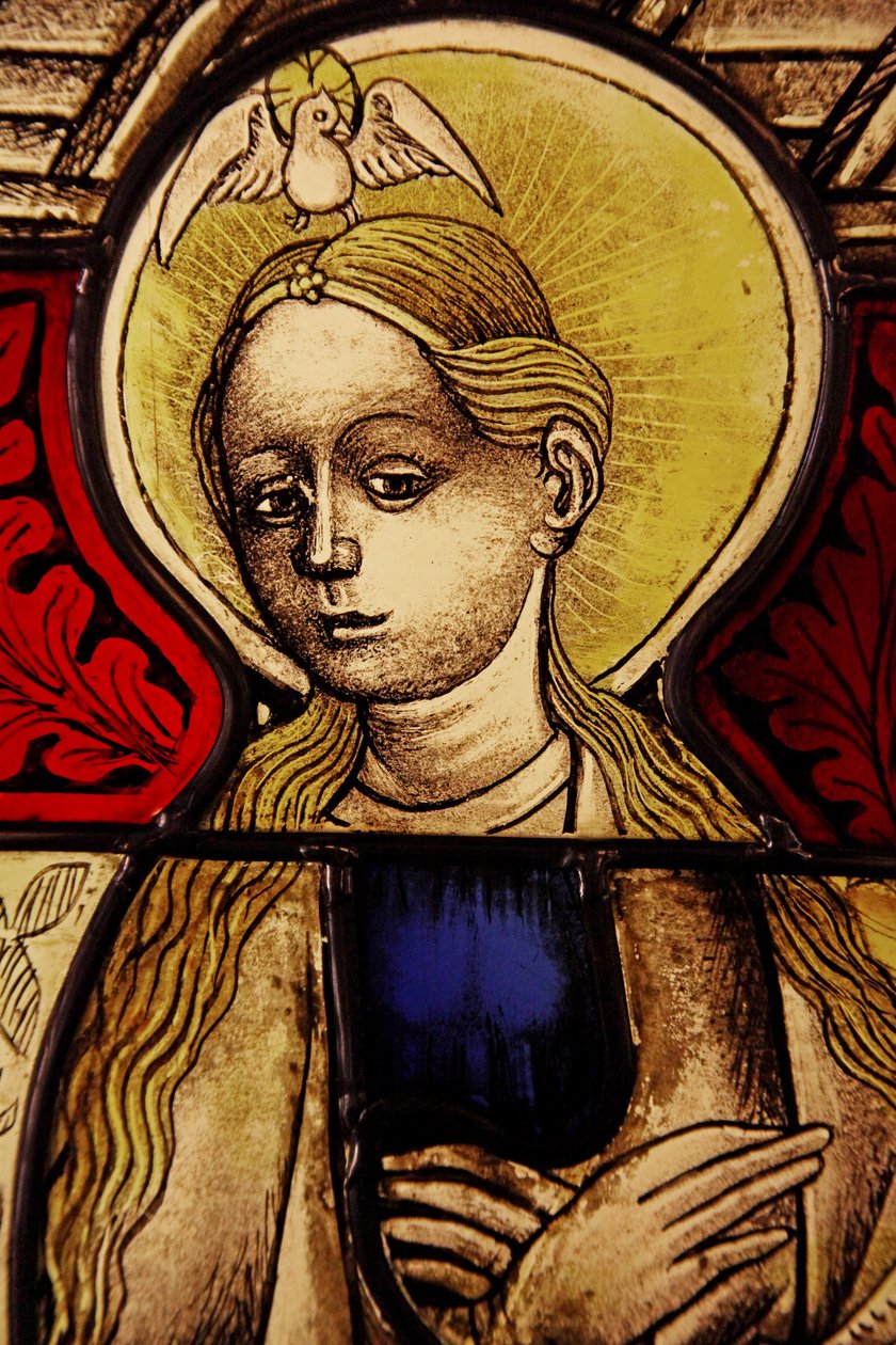 La Vergine Maria all