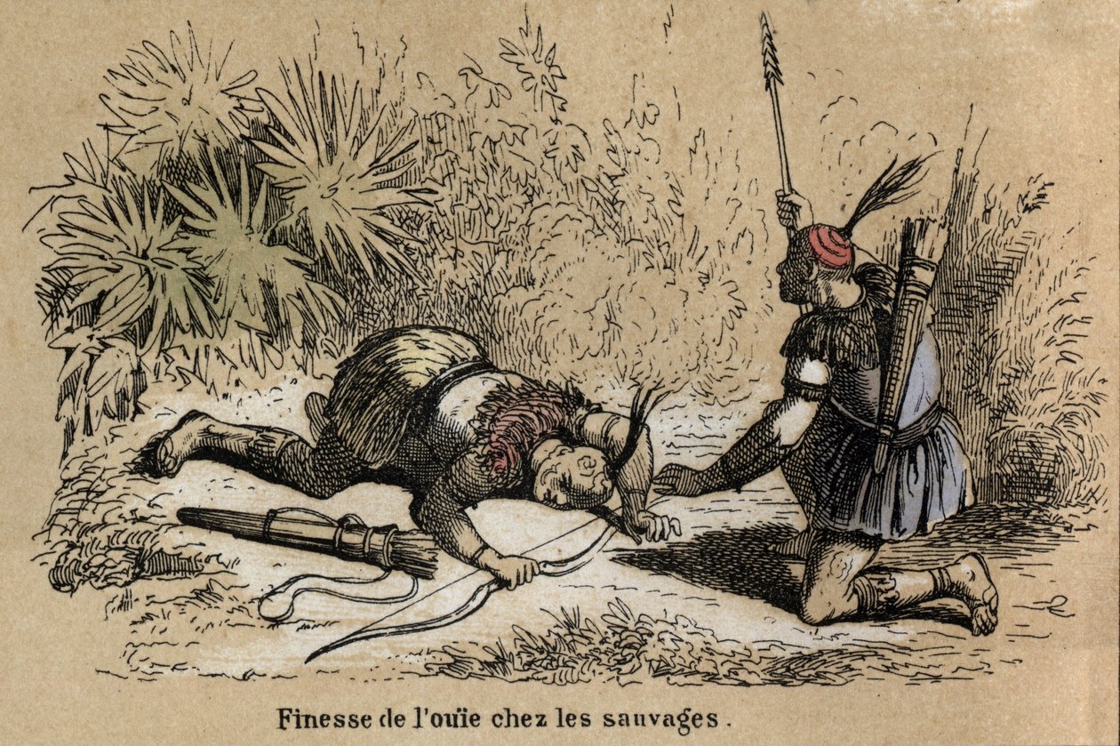 Descrizione dei cinque sensi: dettaglio dell