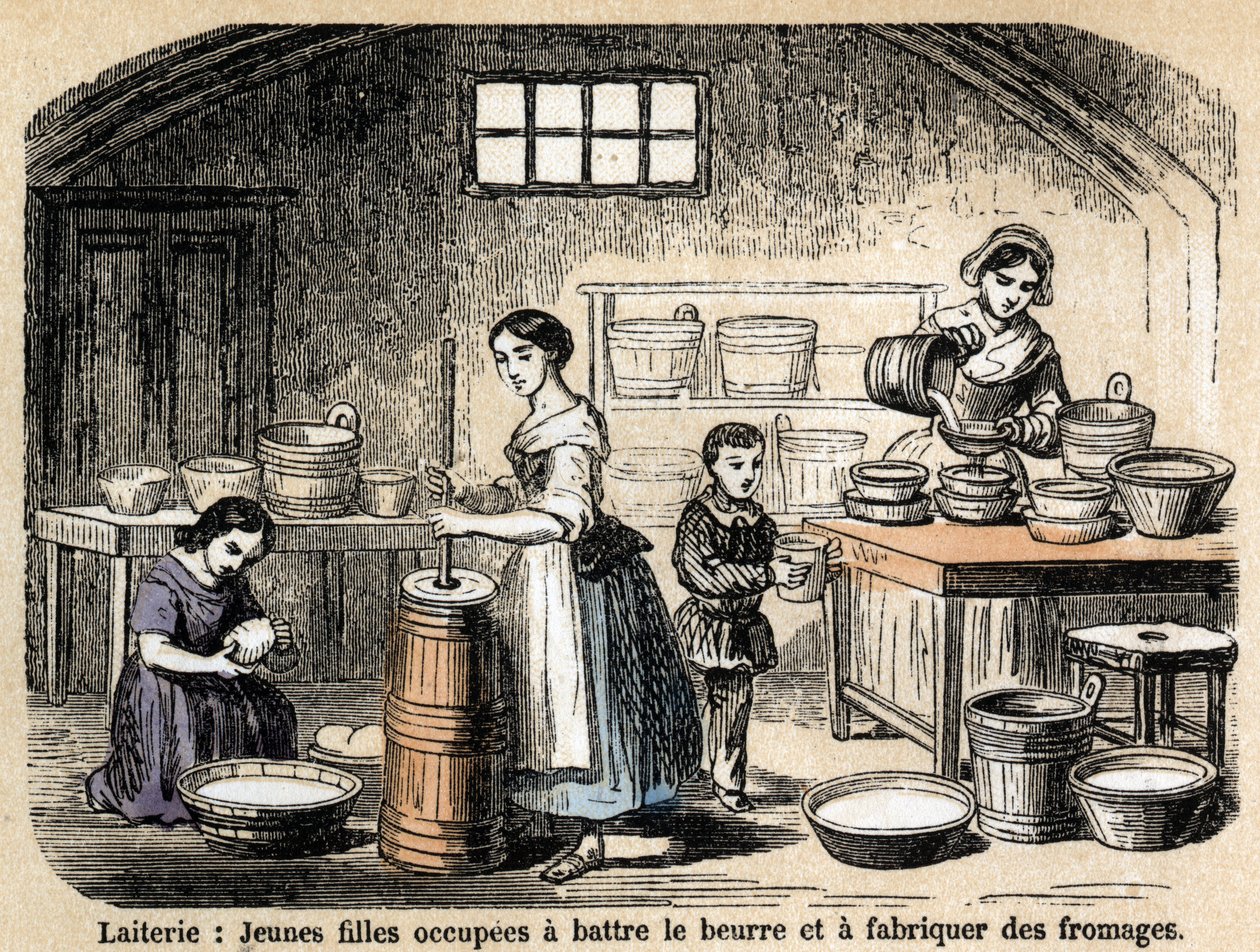 Descrizione dei vari lavori e prodotti delle pecore: giovani allevatori che fanno burro e formaggi in una latteria. Tavola "Le pecore" in "Le ricreazioni istruttive". Dipinto sinottico di Jules Delbruck, incisione del 1860. da French School