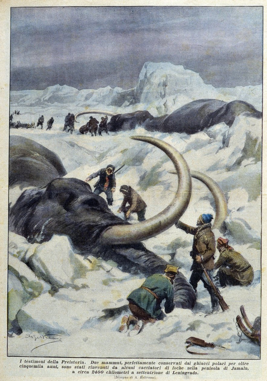 Scoperta di mammut preistorici intrappolati nel ghiaccio polare, inizio XX secolo da French School