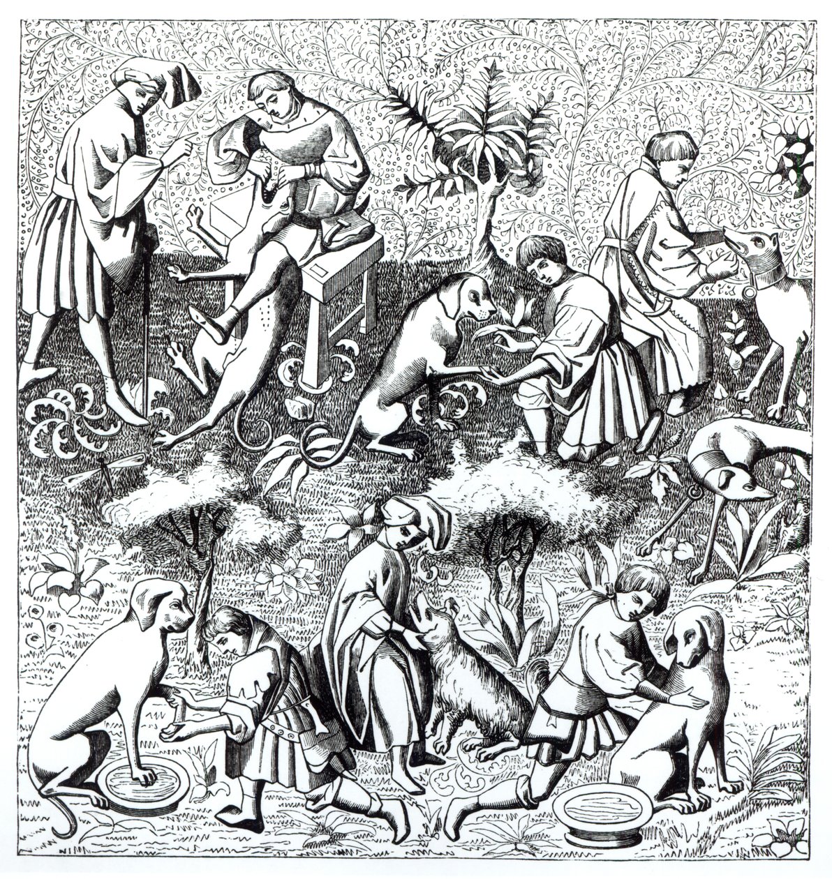 Malattie dei cani e la loro cura, da una miniatura nel manoscritto di Gaston de Foix da French School