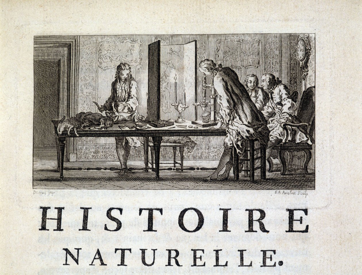 Dissezione degli animali - in "Storia naturale, generale e particolare" di Buffon da French School