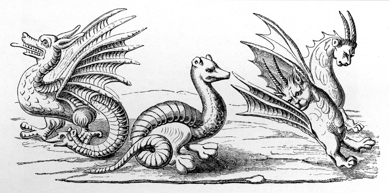Draghi da French School