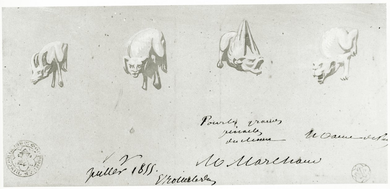 Disegno per il restauro delle gargolle di Notre Dame, 1855 da French School