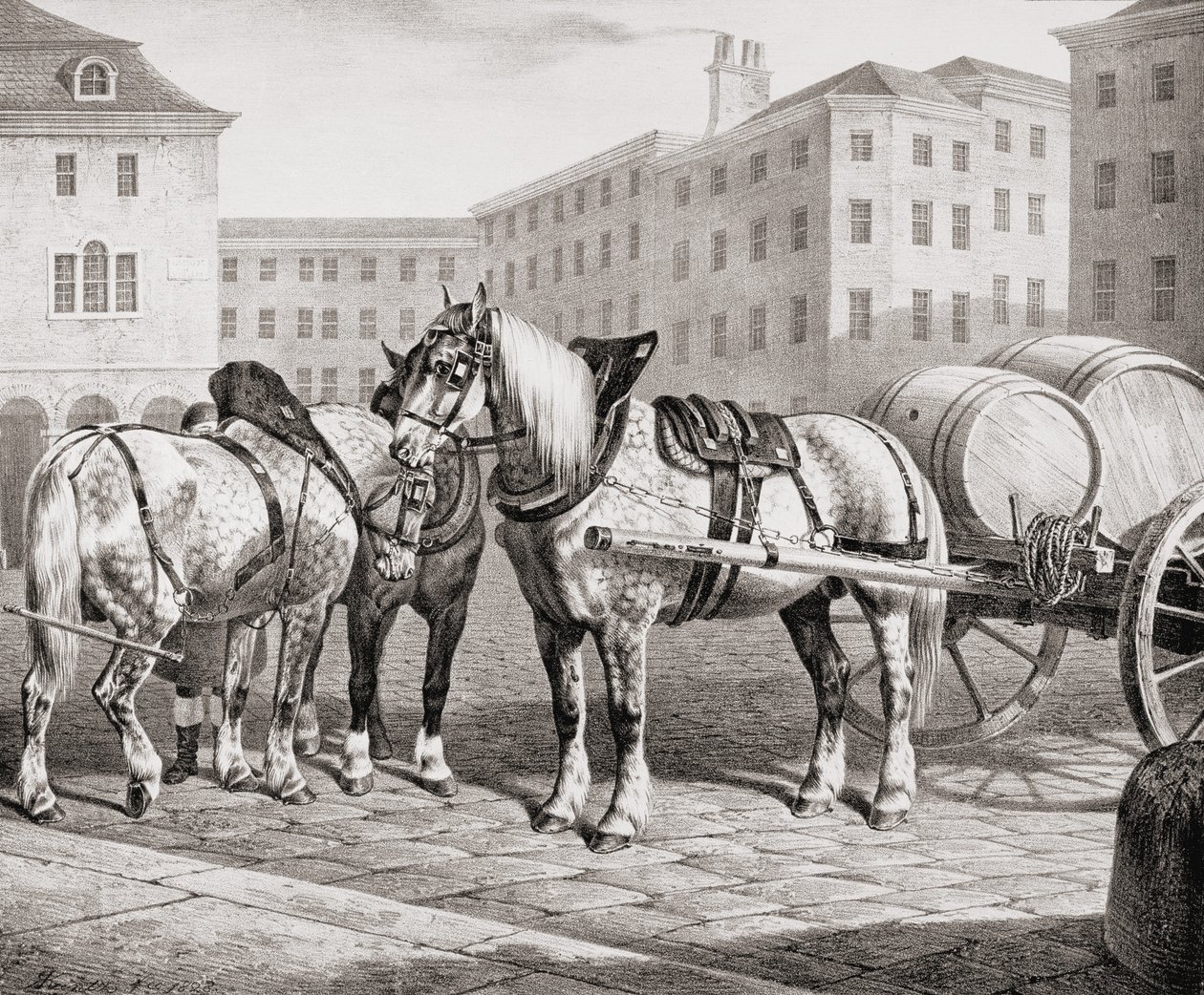 Cavalli da Fattoria Inglesi, 1823 da French School