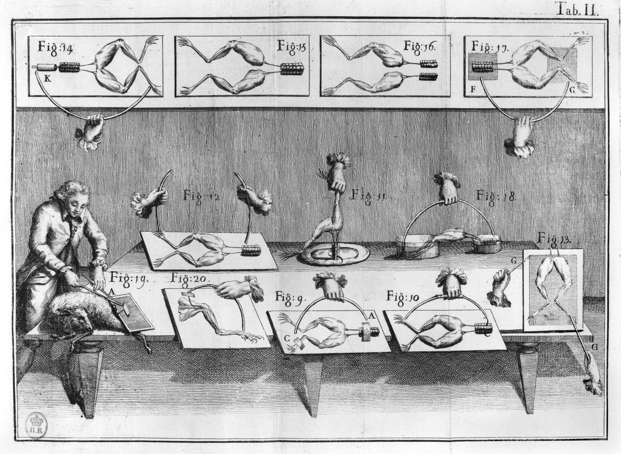 Esperimento sulle rane, illustrazione da De viribus electricitatis in motu muscumari da French School