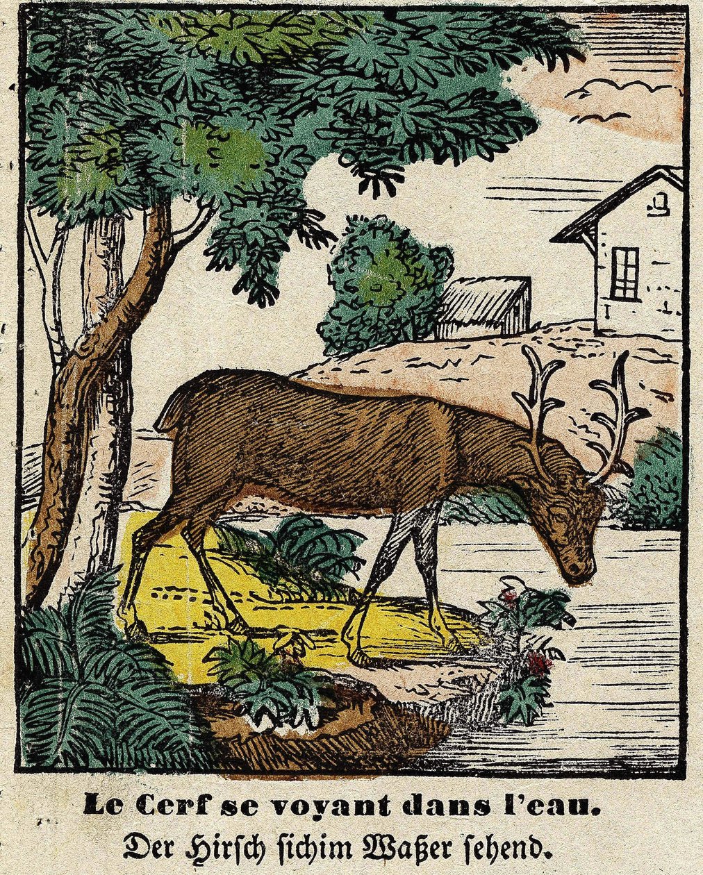 Favole di La Fontaine: il cervo che si vede nell