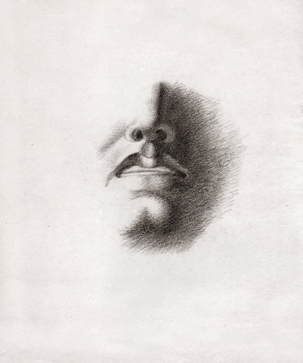 Volto di un uomo (disegno, circa 1830) da French School