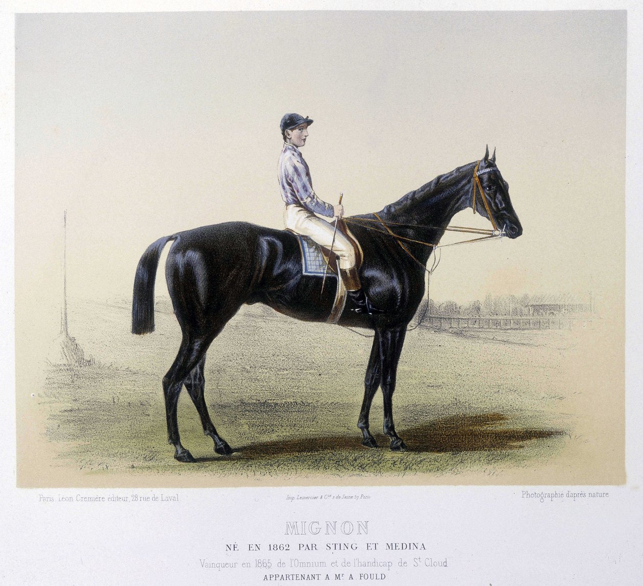 Cavallo da corsa famoso - in 