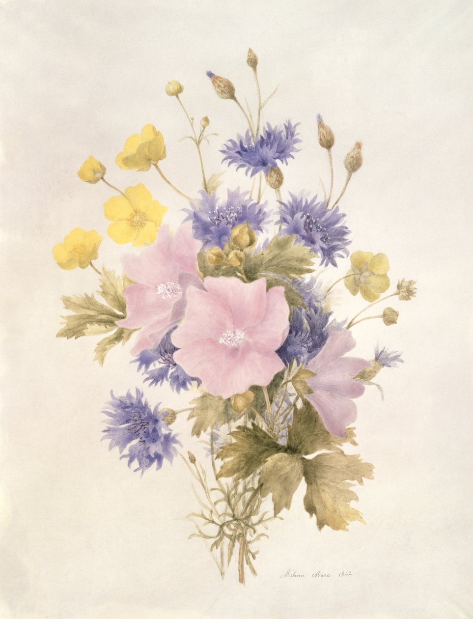 Fiori di campo, 1842 da French School
