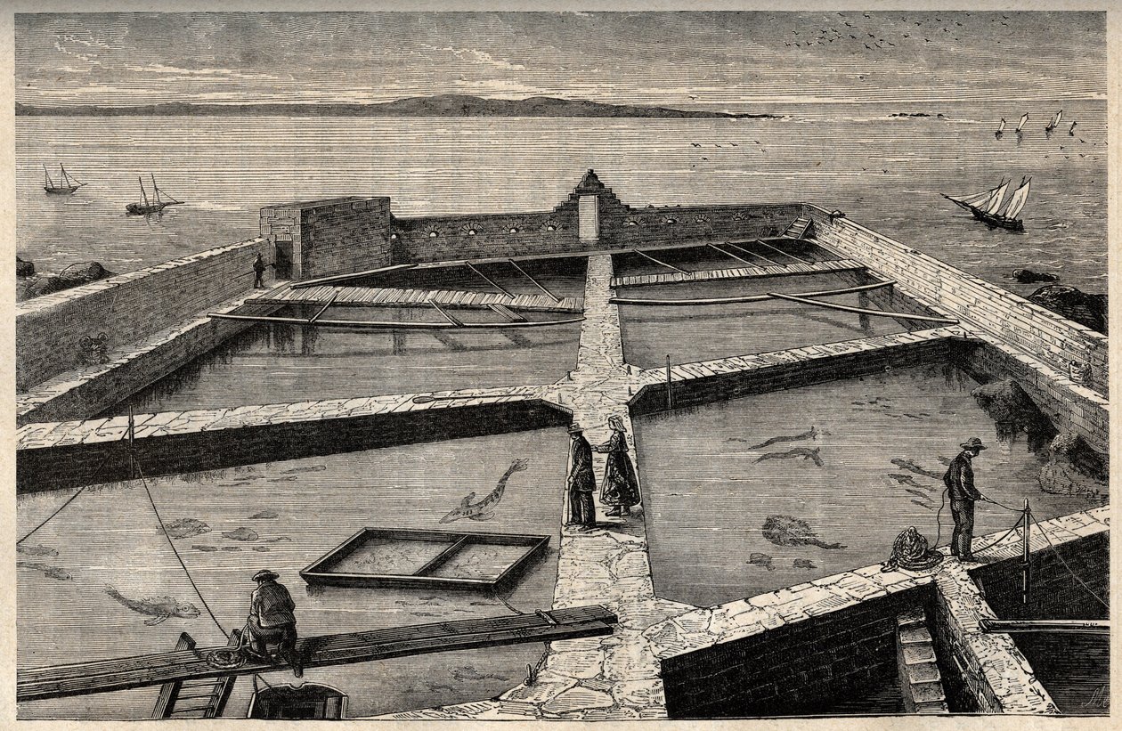 Piscicoltura a Concarneau - Bretagna - Stabilimento di piscicoltura - Concarneau - Finistère - Bretagna - incisione in 
