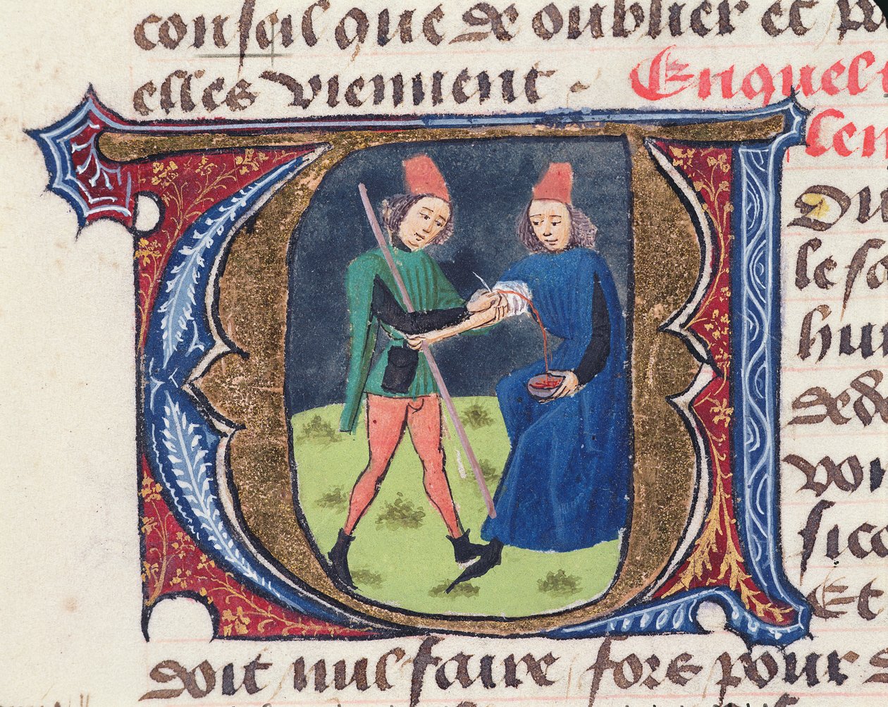 Fol.19r Salasso, da Traite de Medecine di Aldebrande de Florence, 1356 da French School