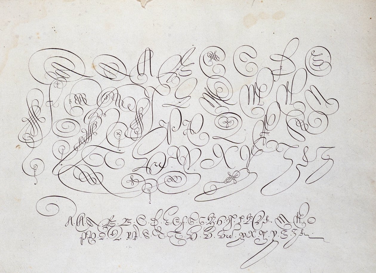 Calligrafia francese: Tavola di lettere capitali, incisione di Frisius, calcografo del re da Robert Vignon nel giardino della scrittura intorno al 1600 da French School