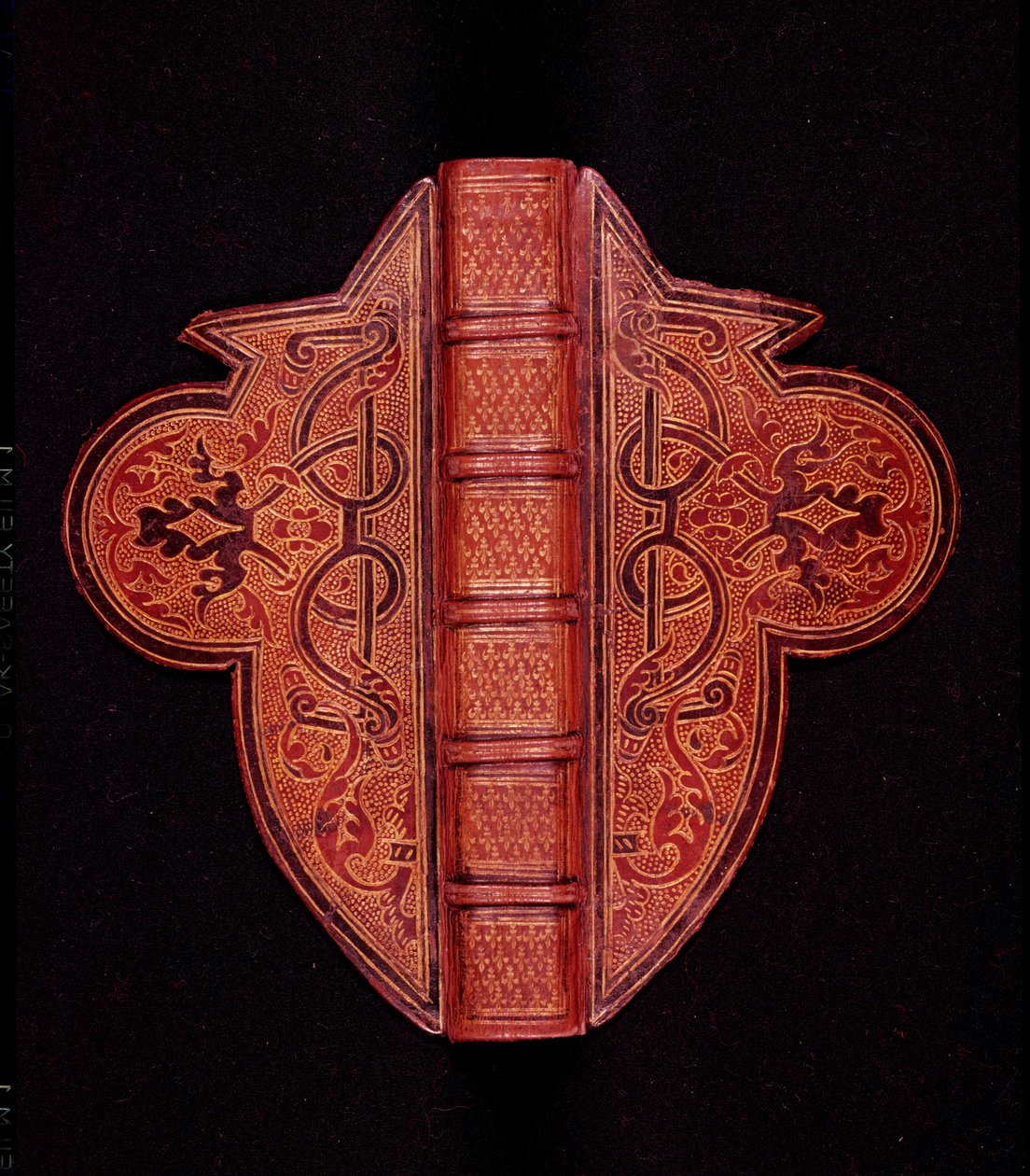 Copertina di un Libro d