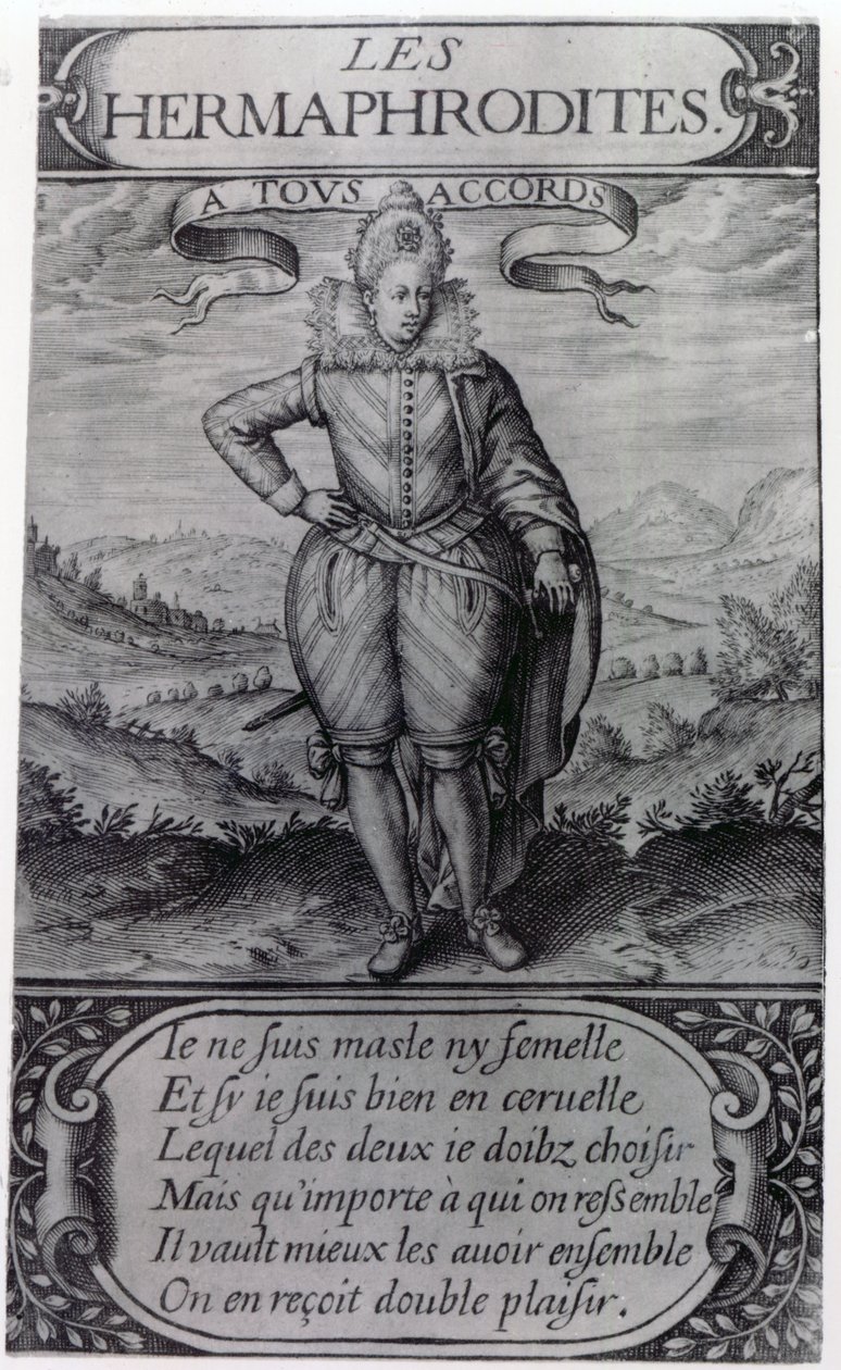 Frontespizio di Les Hermaphrodites di Thomas Artus, 1605 da French School