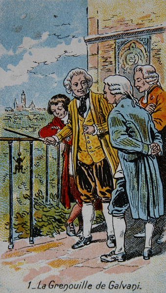 La rana di Galvani, illustrazione da una serie di carte sui 
