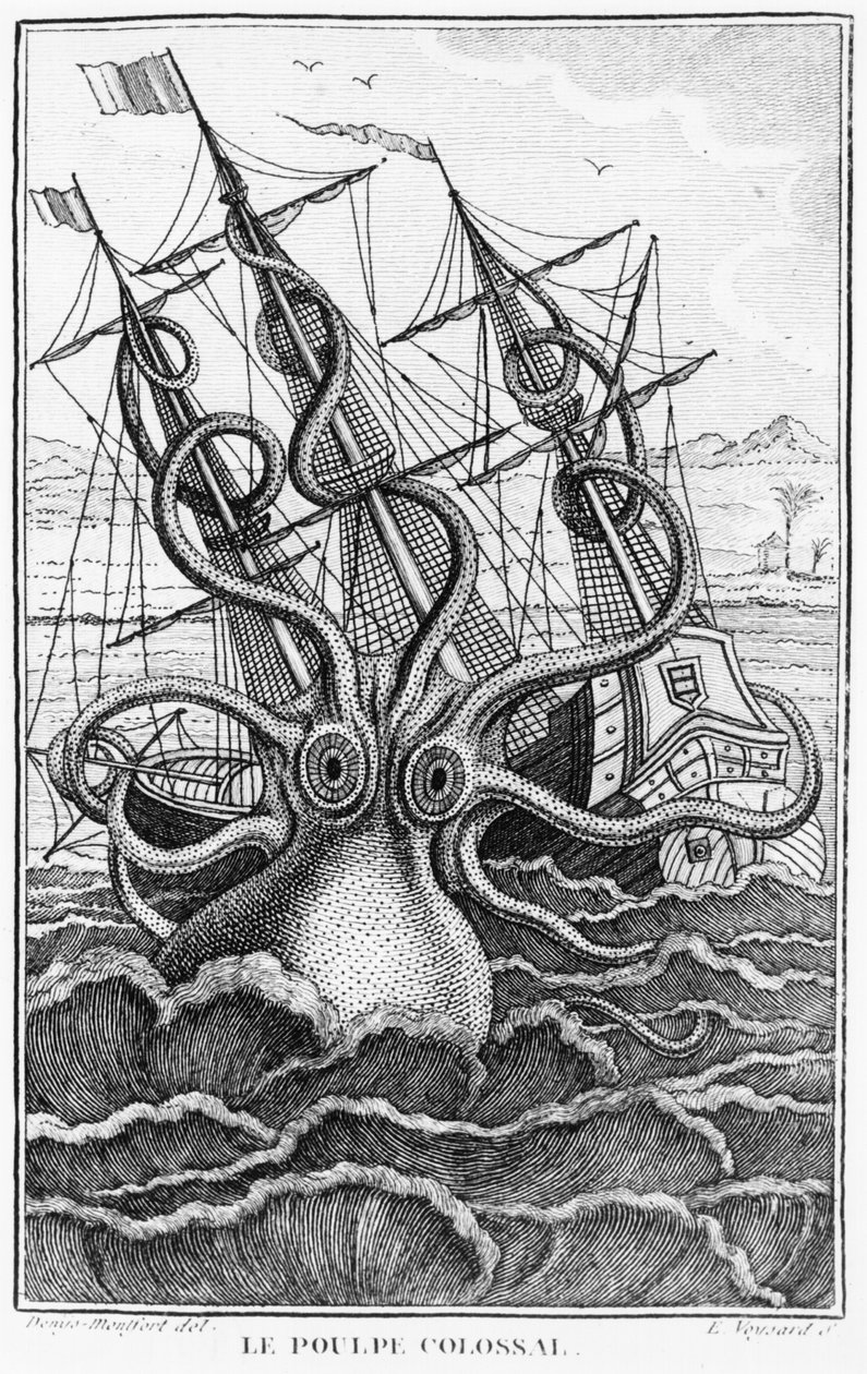 Polpo gigante, illustrazione da LHistoire Naturelle Generale et Particuliere des Mollusques di Denys-Montfort, c. 1802-03 da French School