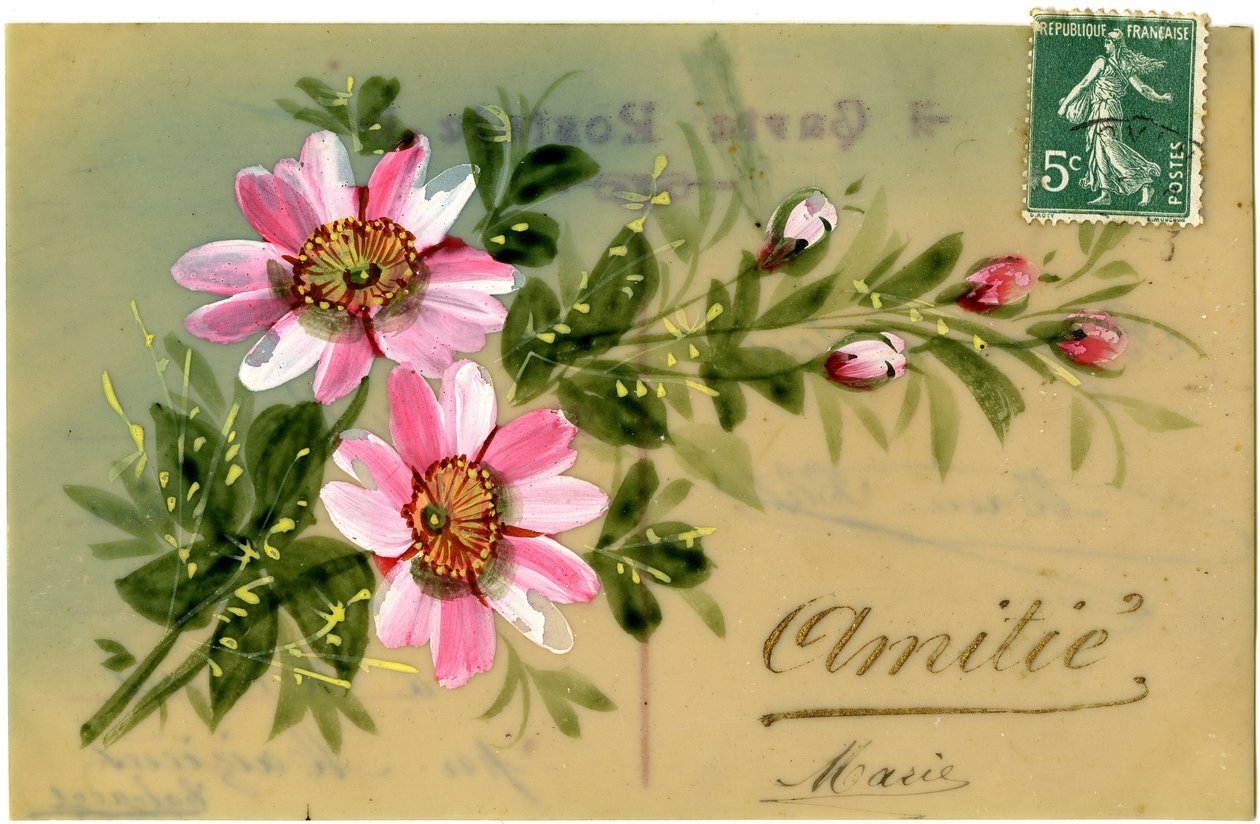 Saluti con pianta floreale. Cartolina d