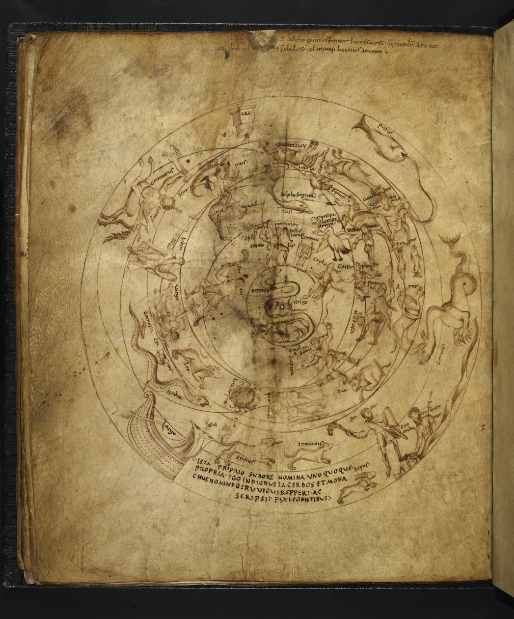 Diagramma degli emisferi settentrionale e meridionale, da 