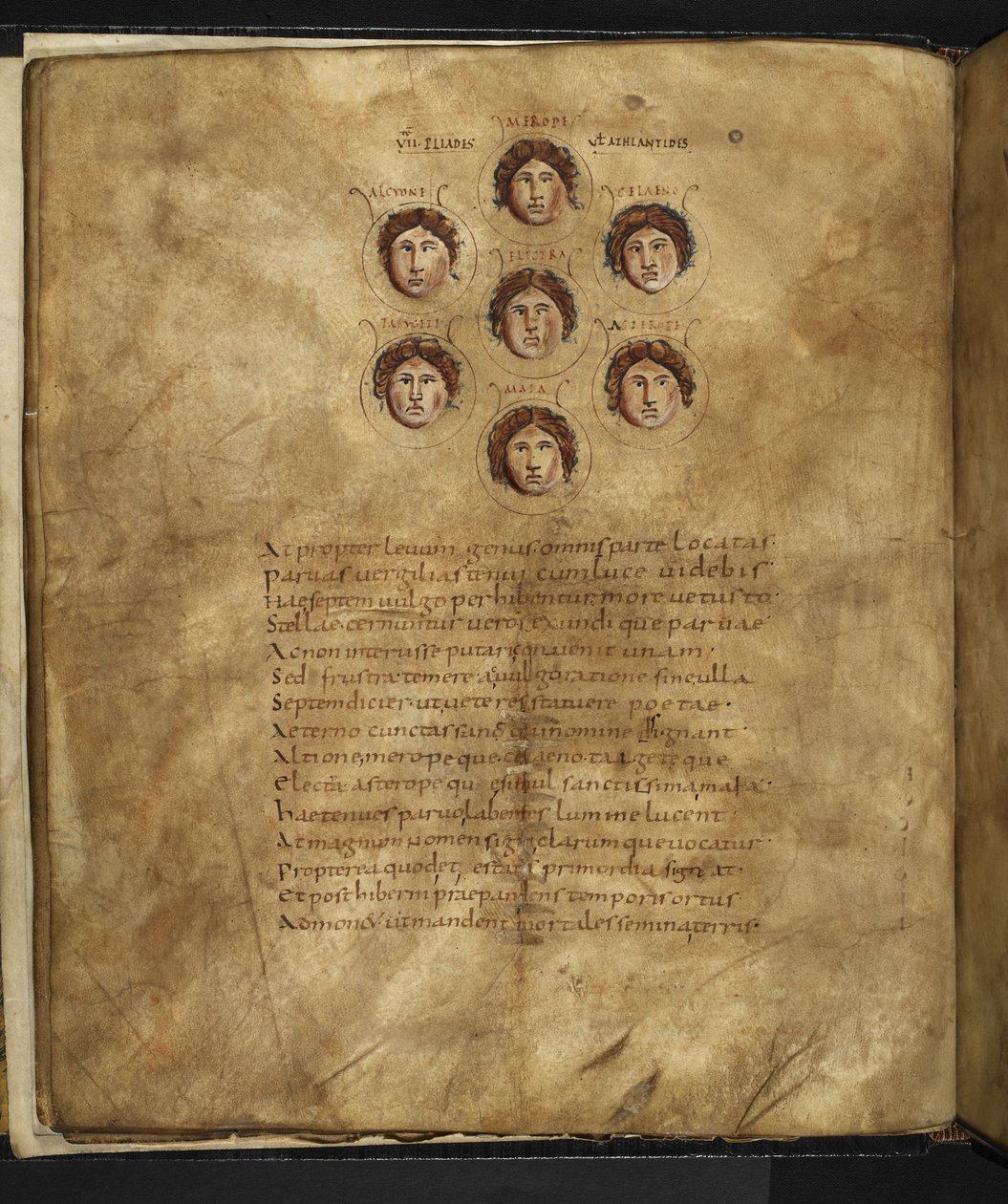 Illustrazione dei volti delle Pleiadi, sette sorelle che vivevano nei cieli come stelle, con i loro nomi iscritti intorno, da 