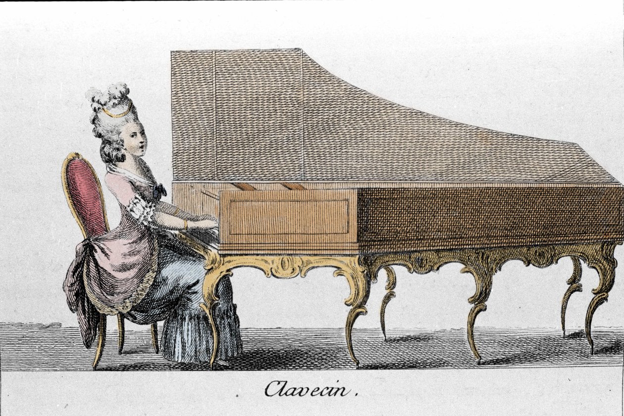 Suonatore di clavicembalo (Clavicembalo, cembalo). da French School