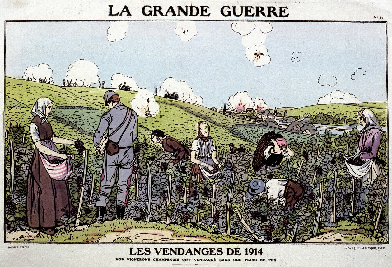 Raccolto del 1914 da French School