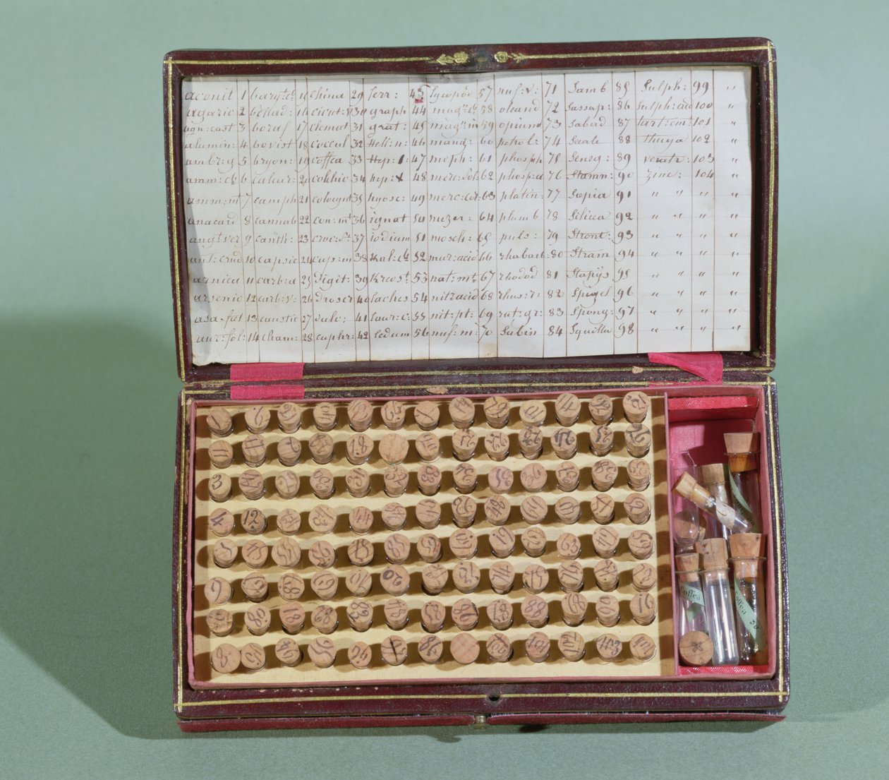 Valigia di medicina omeopatica, seconda metà del XIX secolo da French School
