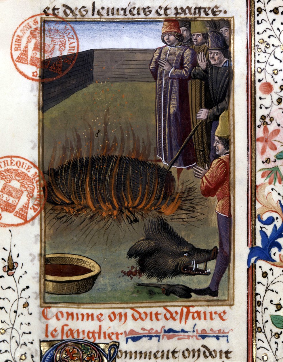 Come scuoiare un cinghiale - in “Libro di caccia di Gaston Phoebus, Conte di Foix, Signore di Béarn” da French School