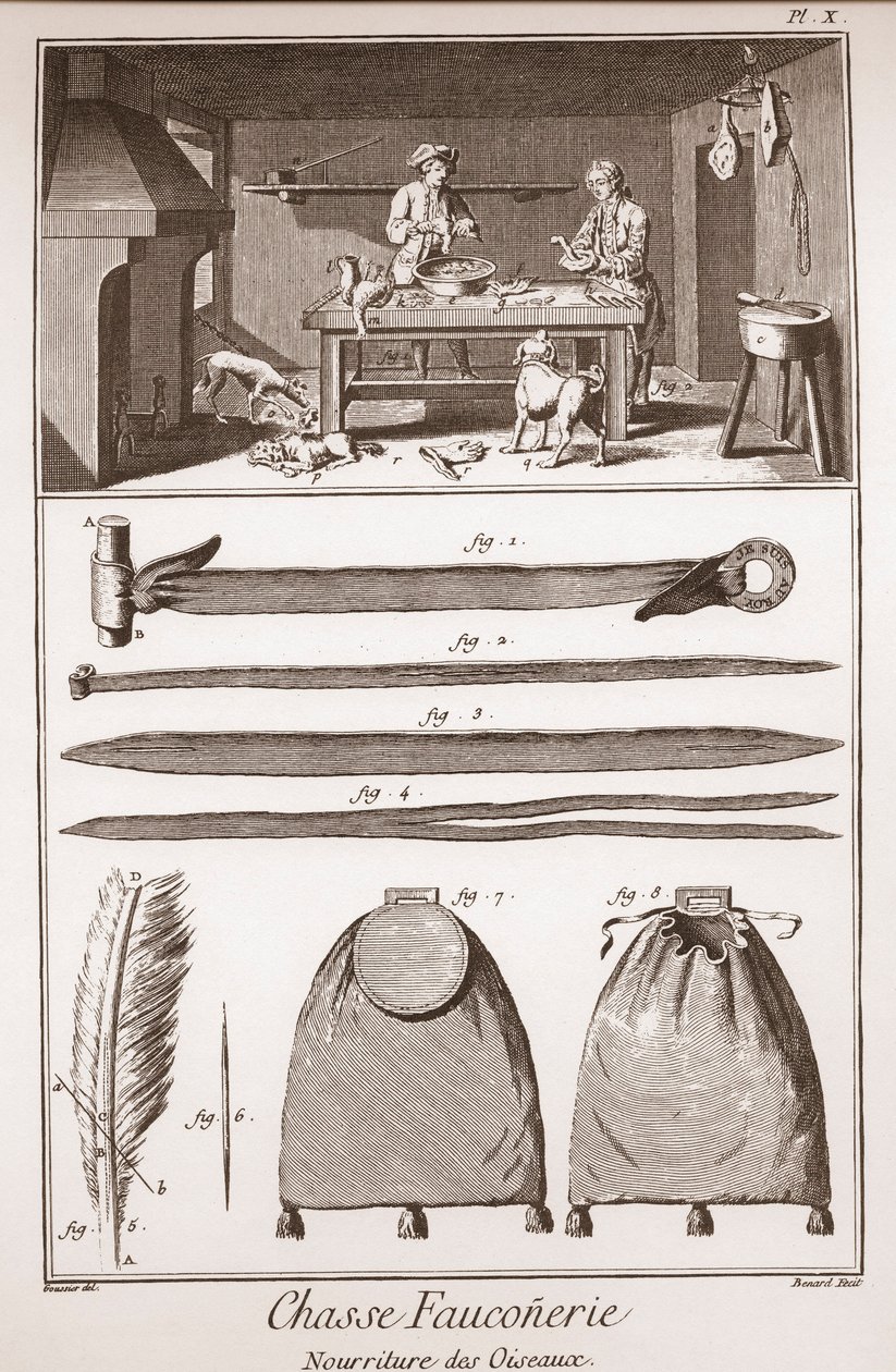 Caccia - Falconeria - Alimentazione degli uccelli - Incisione di Benard da Goussier - "La Grande Enciclopedia, ou Dizionario Ragionato delle Scienze, delle Arti e dei Mestieri" (Enciclopedia o Dizionario delle Scienze, Arti e Professioni) di Denis Diderot  da French School