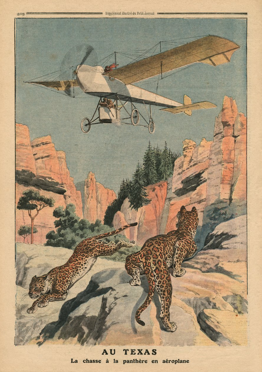 Caccia alle pantere da un aereo in Texas, illustrazione da 