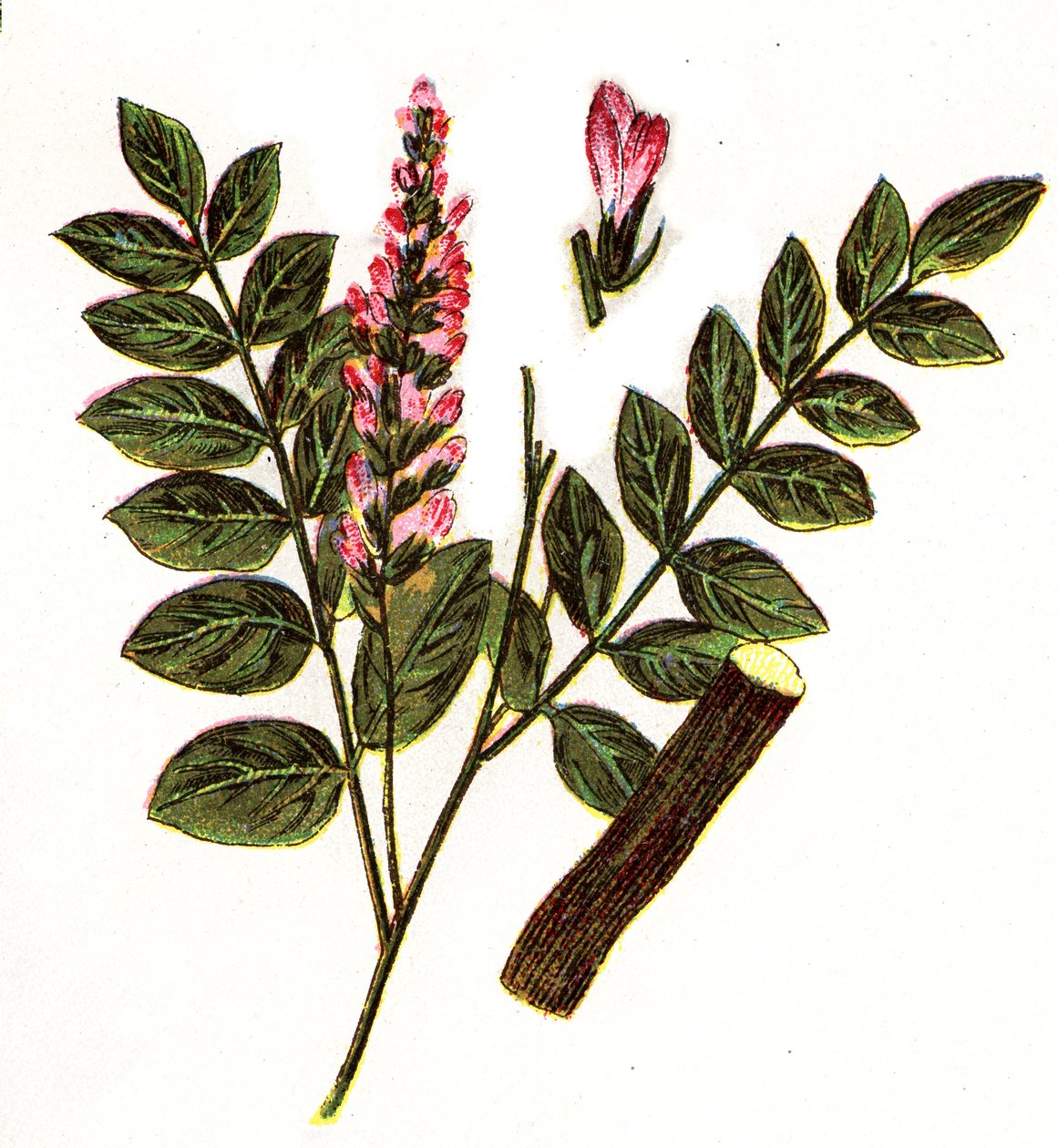 Illustrazione per "Mon docteur - traite de medecine et d