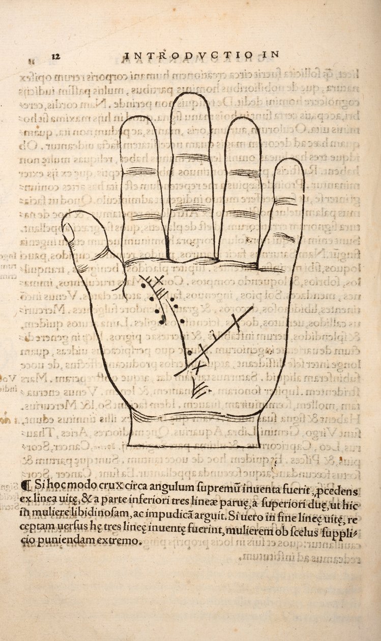 Illustrazione da Chiromantia di Joannes Indagioe, Strasburgo, 1531 da French School