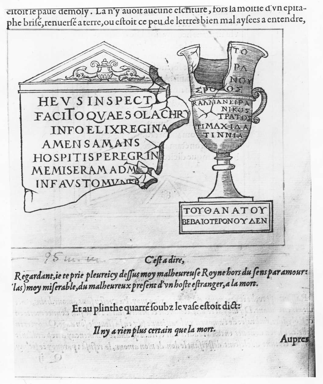 Illustrazione da 