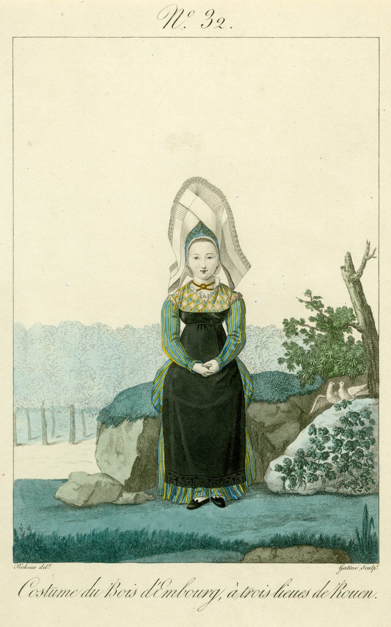 Illustrazione n. 32, Costume del Bois d