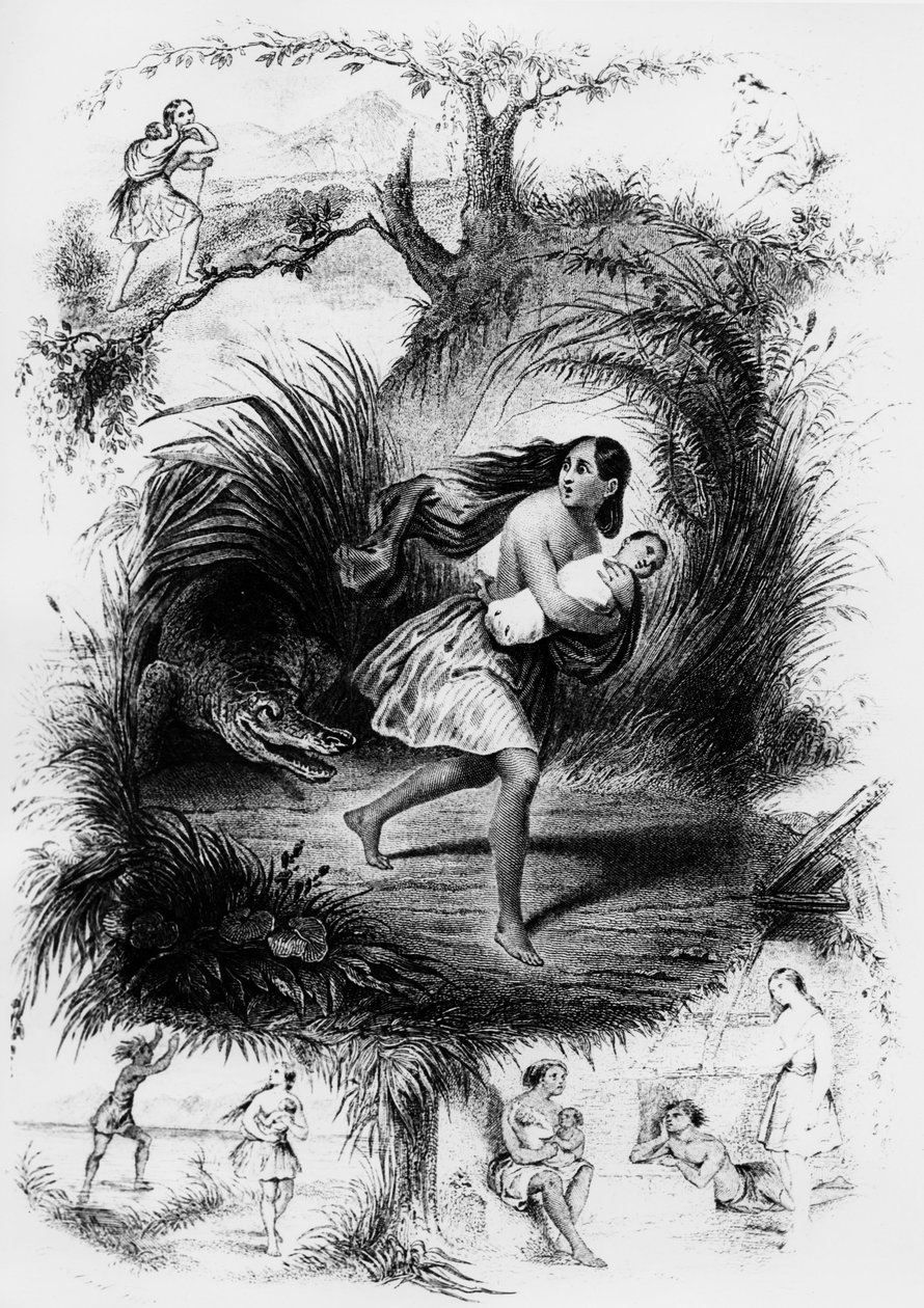 Illustrazione del romanzo "Les Natchez" di Francois Rene de Chateaubriand da French School