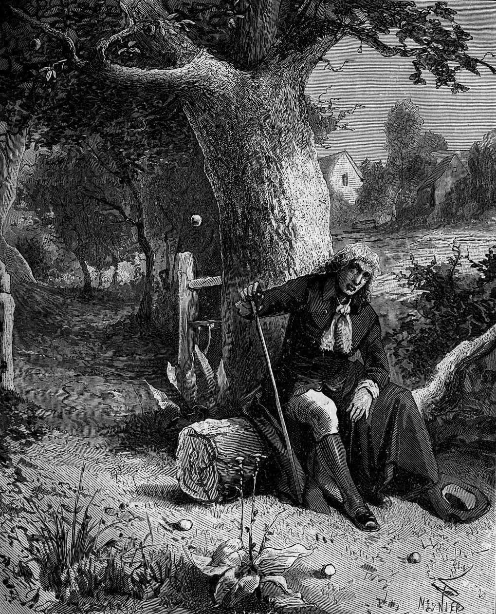 Isaac Newton (1642-1727), matematico e astronomo inglese, scopre la nozione di gravità terrestre attraverso una mela che cade da un melo di Woolsthorpe da French School