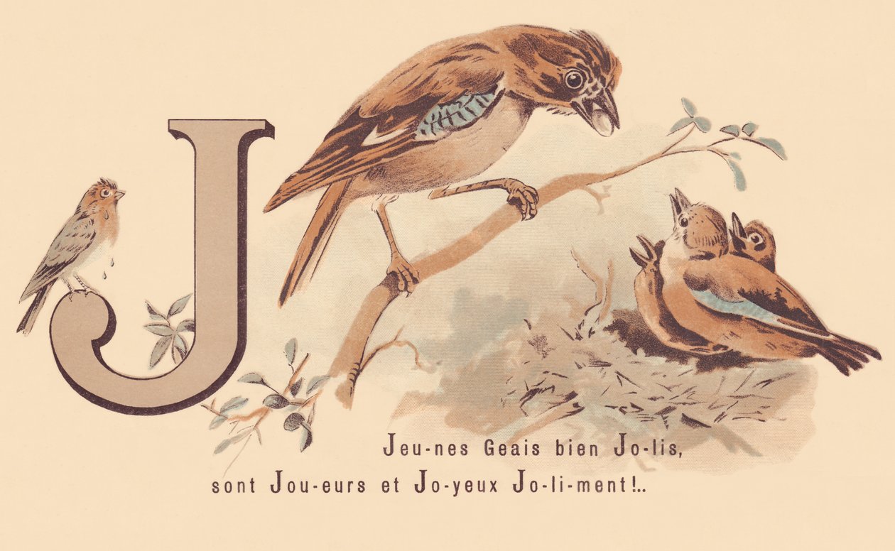 J: Giovani ghiandaie carine sono giocatori e felici Jolily! da French School