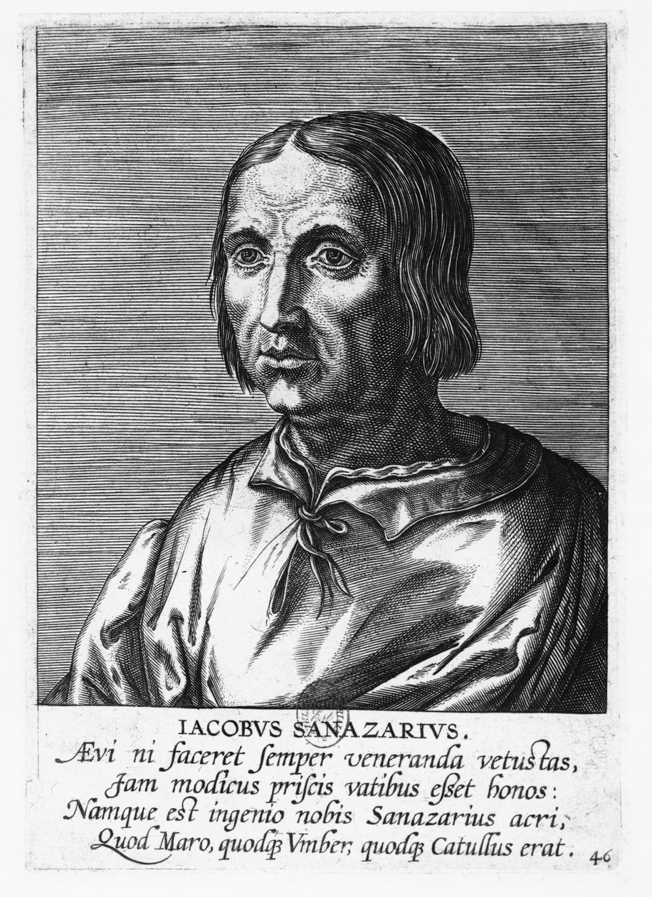 Jacopo Sannazaro (incisione) da French School