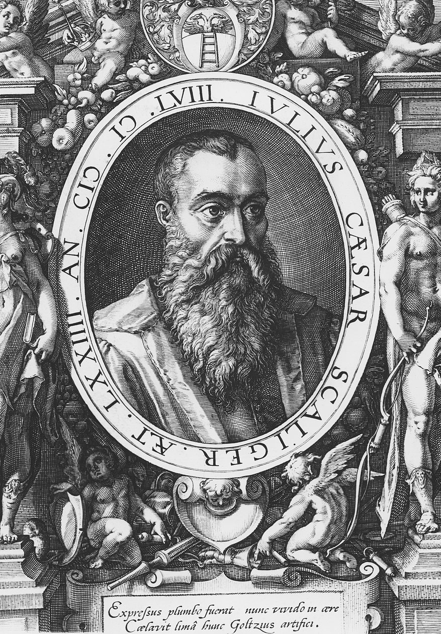 Julius Caesar Scaliger (incisione) da French School