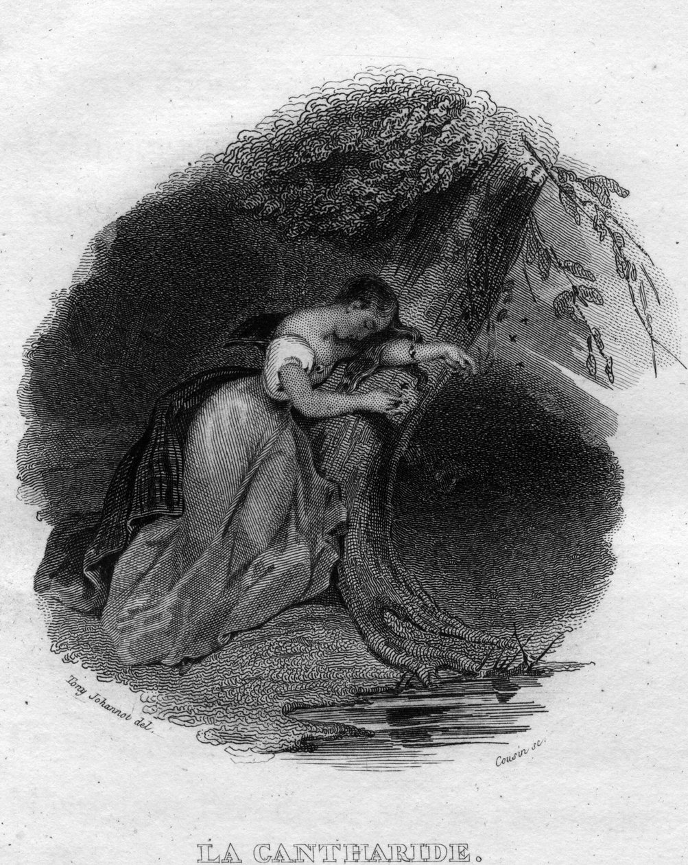 La cantharid Chanson de Beranger in 