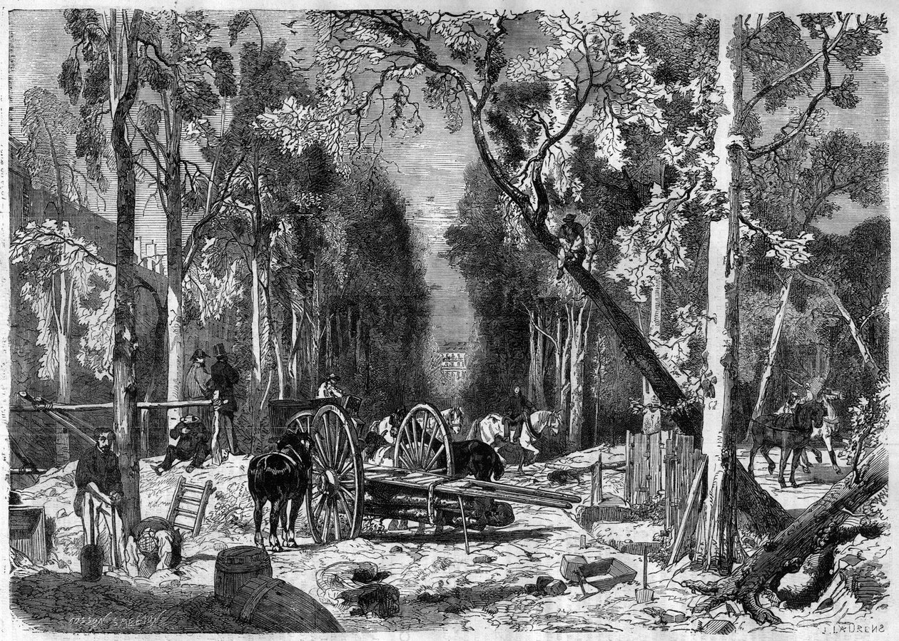 Il boscaiolo al giardino del Lussemburgo a Parigi nel 1870 - Incisione del 1870 da French School