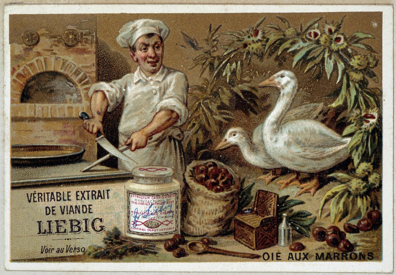 Ricette Liébig: oca con castagne - cromolitografia Liébig da French School