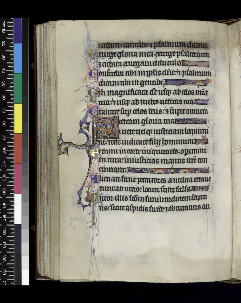 MS 300 f.61v, foglio dal Salterio e Ore di Isabella di Francia, Parigi, c.1265-70 da French School