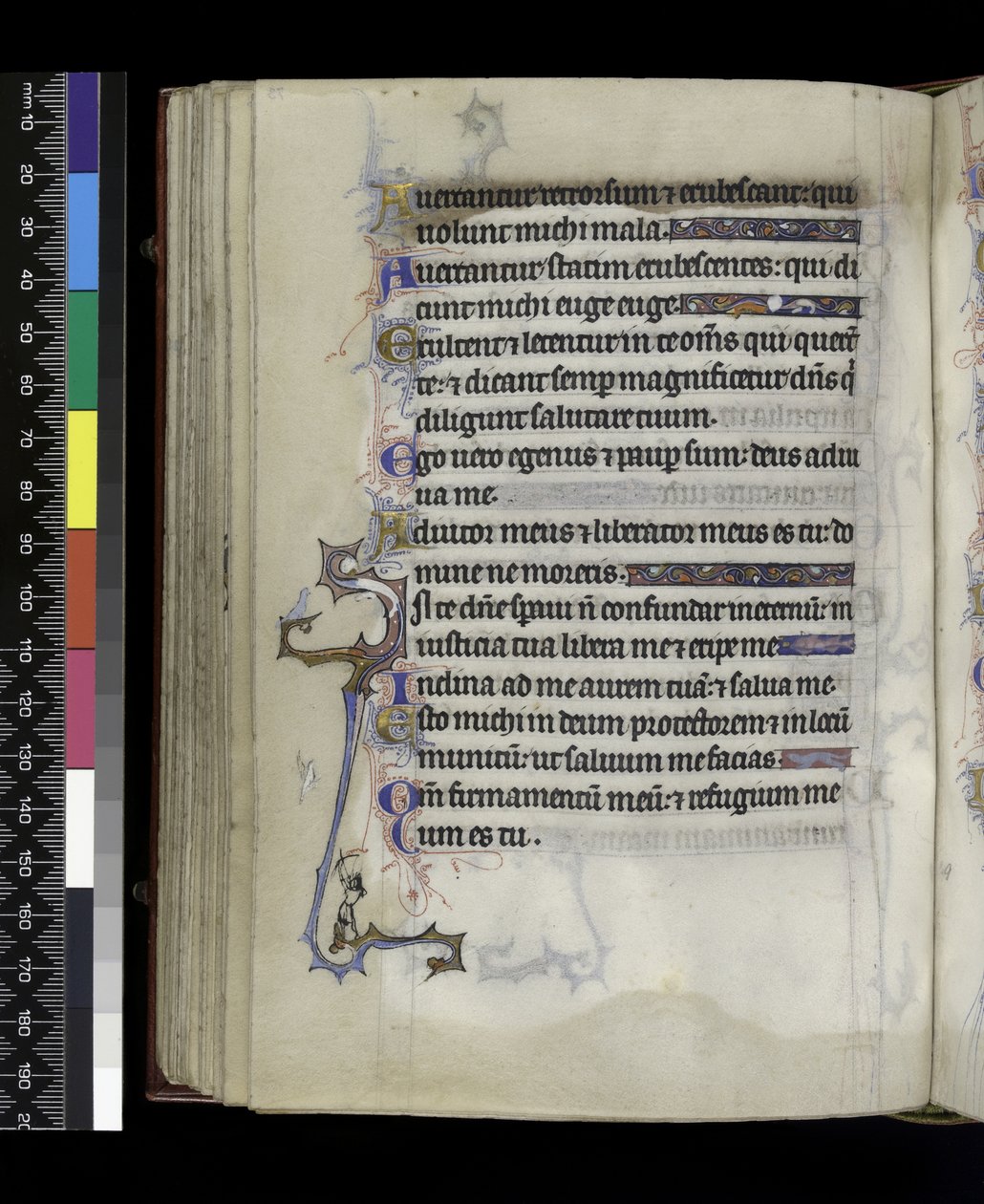 MS 300 f.73v, dal Salterio e Ore di Isabella di Francia, Parigi, c.1265-70 da French School