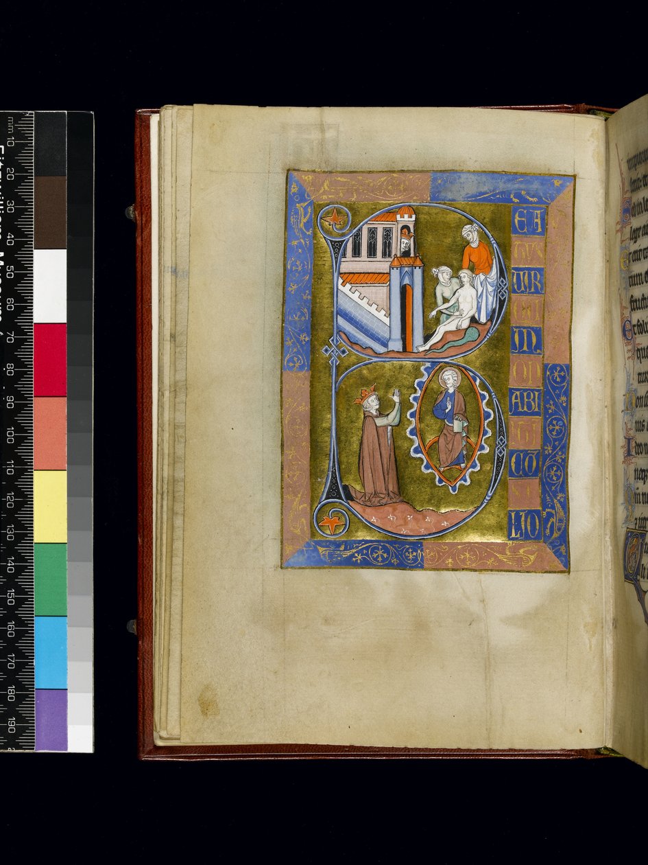 MS 300 f.XIII, foglio dal Salterio e Ore di Isabella di Francia, Parigi, c.1265-70 (penna e inchiostro e tempera su pergamena) da French School